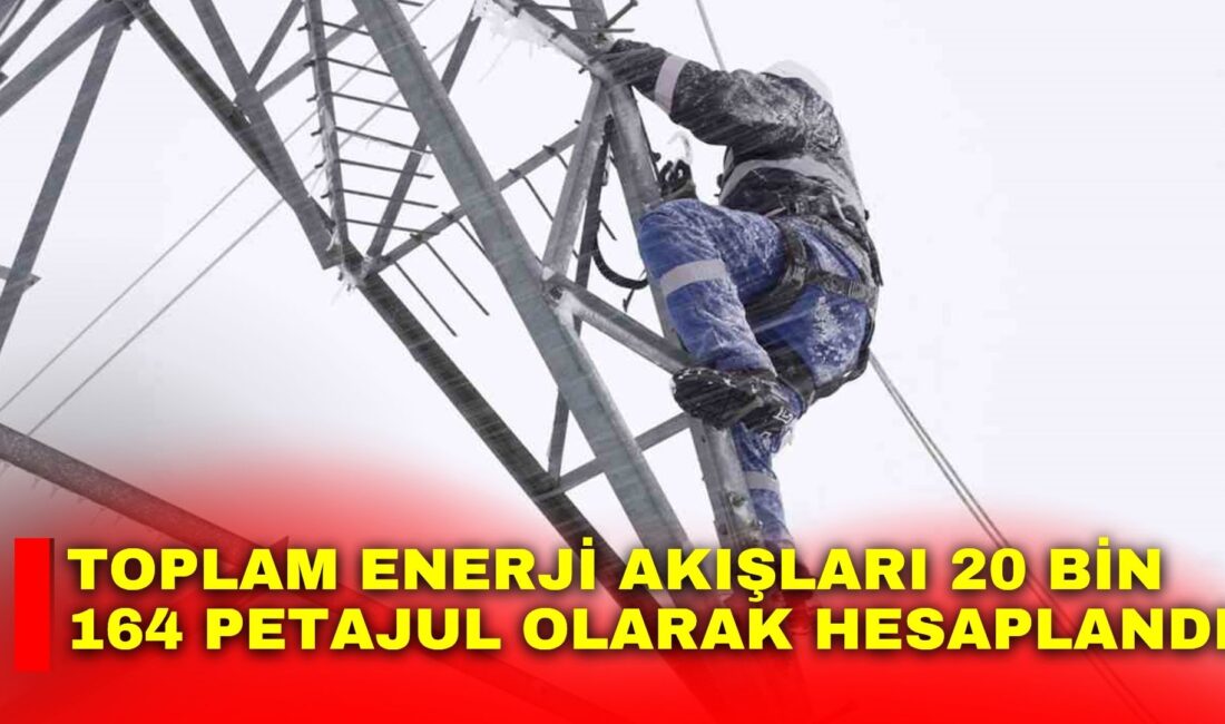 Türkiye İstatistik Kurumu (TÜİK), 2024 yılı Enerji Hesapları rakamlarını açıkladı.