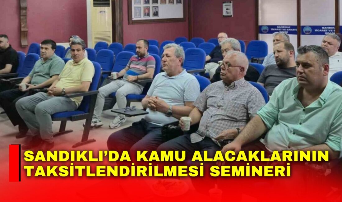 Afyonkarahisar Sandıklı Vergi Dairesi tarafından ilçedeki mali müşavirleri yönelik ’Kamu