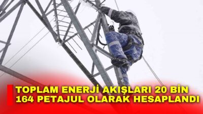 Türkiye İstatistik Kurumu (TÜİK), 2024 yılı Enerji Hesapları rakamlarını açıkladı.
