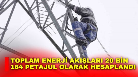 Türkiye İstatistik Kurumu (TÜİK), 2024 yılı Enerji Hesapları rakamlarını açıkladı.