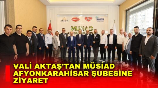 Afyonkarahisar Valisi Dr. Naci Aktaş, Müstakil Sanayici ve İş İnsanları