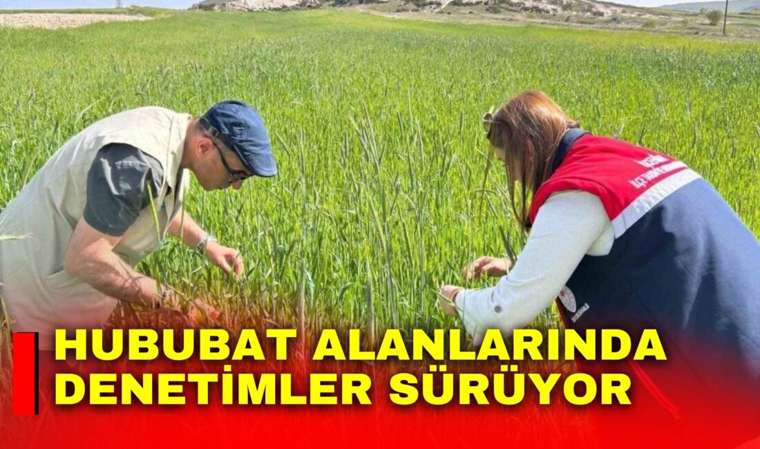 Afyonkarahisar Tarım ve Orman İl Müdürlüğü tarafından hububat ürünlerinde rekoltenin