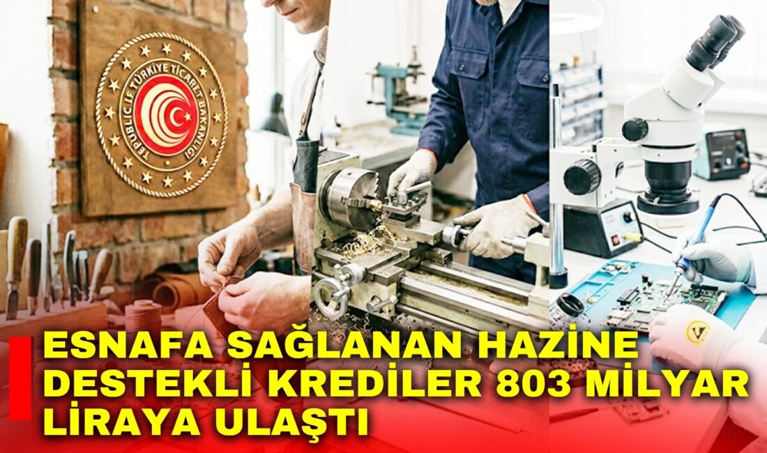 Ticaret Bakanlığı, kredi ve kefalet kooperatifleri aracılığıyla esnaf ve sanatkârlara