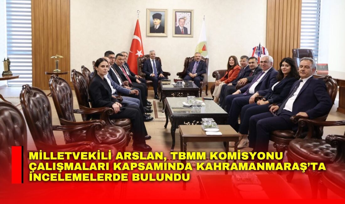 AK Parti Afyonkarahisar Milletvekili Hasan Arslan, Türkiye Büyük Millet Meclisi