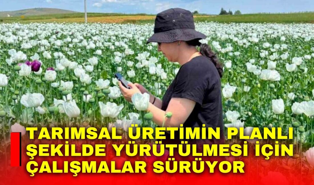 Afyonkarahisar’da tarımsal üretimin planlı şekilde yürütülmesi, üretim verilerinin doğruluğunun sağlanması
