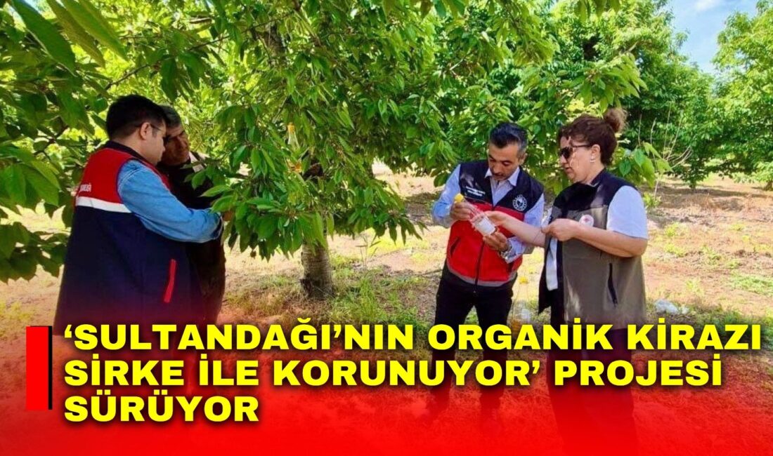 ‘Sultandağı’nın Organik Kirazı Sirke ile Korunuyor’ projesi sürüyor Afyonkarahisar’da ‘Sultandağı’nın Organik Kirazı Sirke ile Korunuyor’ projesi çerçevesinde sirke