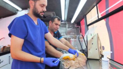 -Balıkesir’de Can Dost 18 bin sokak hayvanına sağlık hizmeti verdi