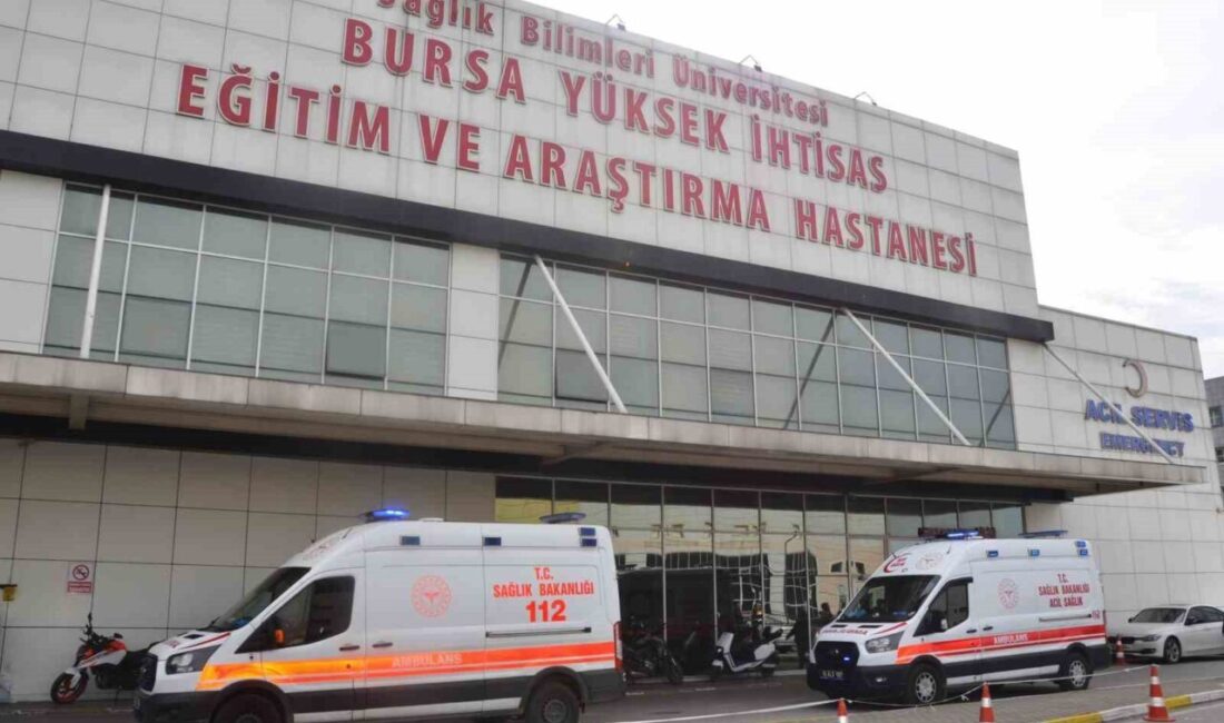 Dünyada en sık görülen kanser türleri arasında ilk sıralarda yer