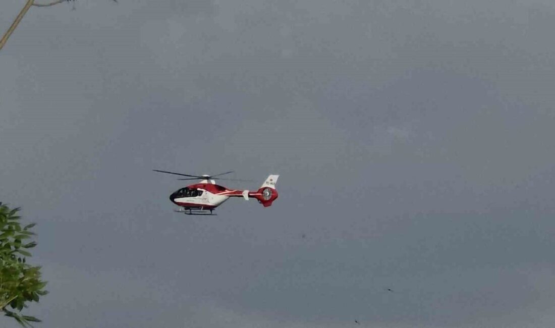 Van’ın Bahçesaray ilçesinde kalp krizi geçiren 57 yaşındaki hasta, Sağlık
