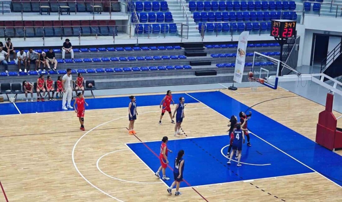 Gençlik ve Spor Bakanlığı tarafından düzenlenen Anadolu Yıldızlar Ligi (ANALİG)