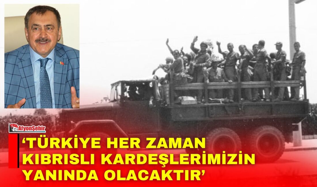 Eski Orman ve Su İşleri Bakanı, Cumhurbaşkanlığı Irak Özel Temsilcisi