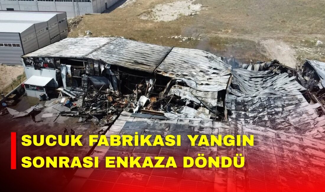 Afyonkarahisar Şuhut Organize Sanayi bölgesinde sucuk fabrikasında çıkan ve yangın