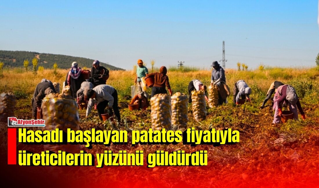 Afyonkarahisar’ın Sandıklı ilçesinde hasadı başlayan patates bu yıl kilogram fiyatı