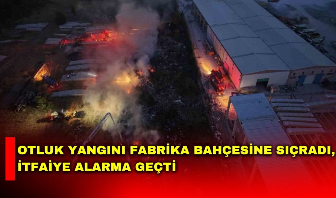 Afyonkarahisar’da otluk alanda çıkan yangın atıl durumdaki bir fabrikanın bahçesine