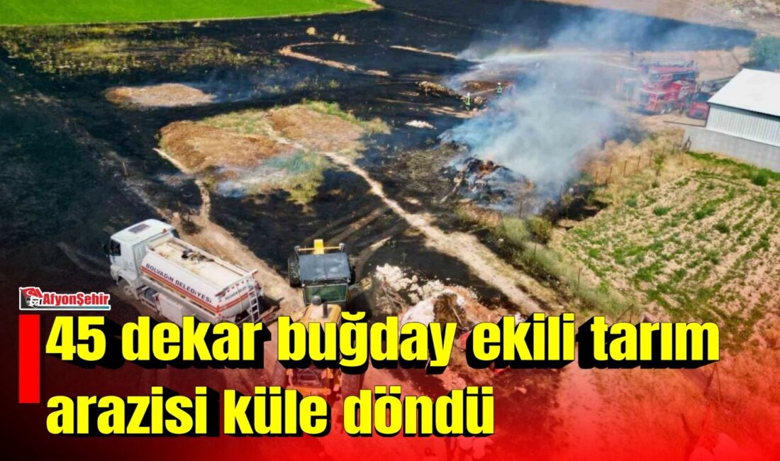 Afyonkarahisar’ın Bolvadin ilçesinde çıkan yangın sonrası yaklaşık 45 dekar buğday