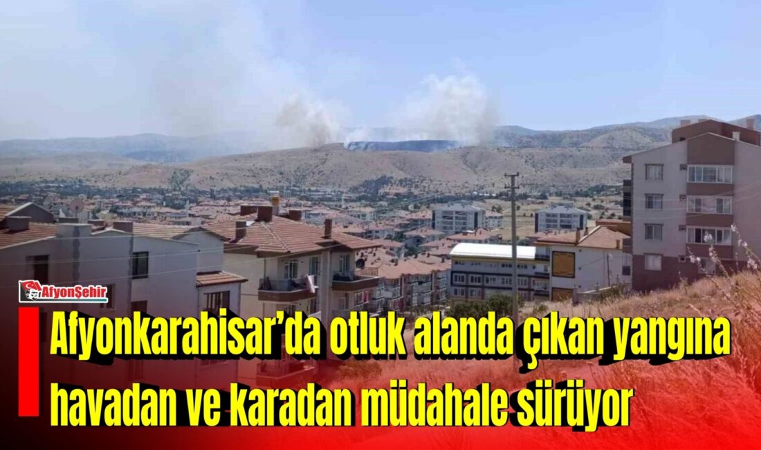Afyonkarahisar kent merkezine bağlı Büyük Kalecik beldesi yakınlarında bulunan mera