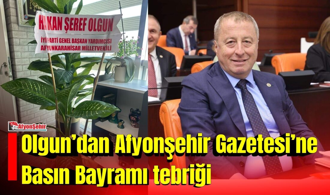 İYİ Parti Genel Başkan Yardımcısı ve Afyonkarahisar Milletvekili Hakan Şeref