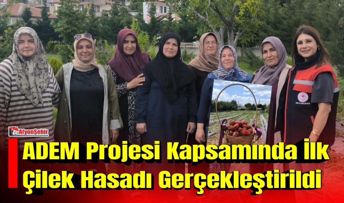 İscehisar'da alternatif tarımsal üretimin yaygınlaştırılması ve katma değeri yüksek ürünlerin