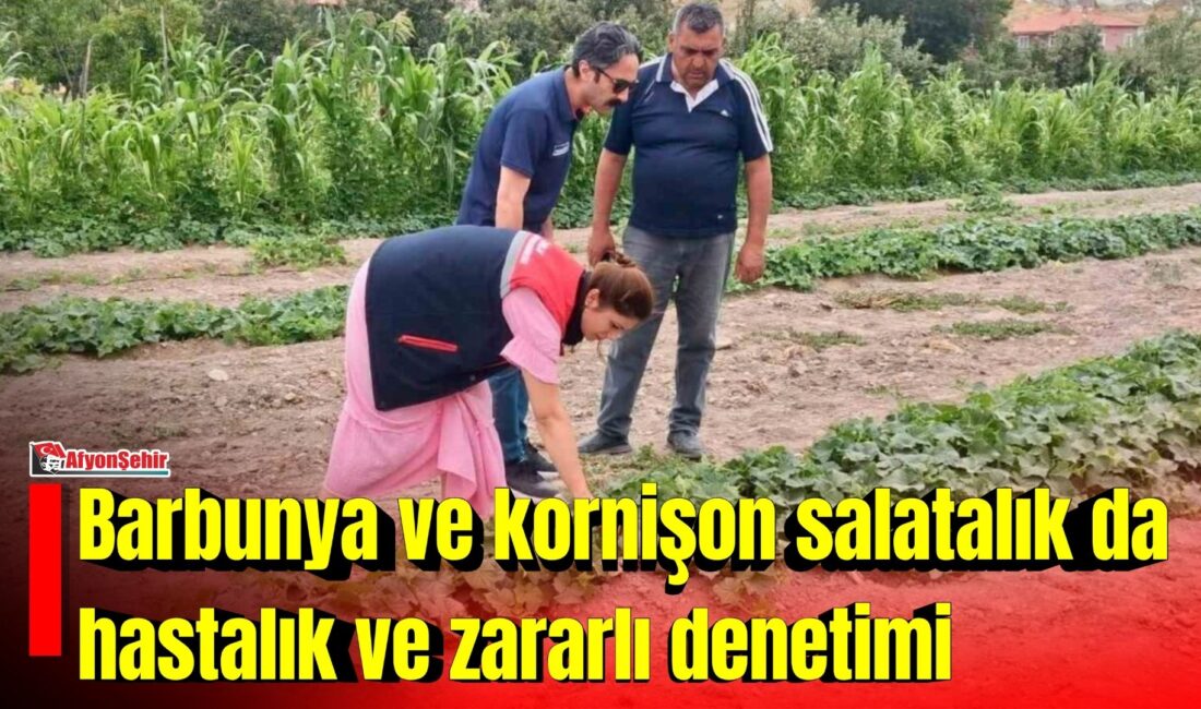 Barbunya ve kornişon salatalık da hastalık ve zararlı denetimi Afyonkarahisar’da bitkisel üretimde verim ve kaliteyi korumak, hastalık ve zararlıların