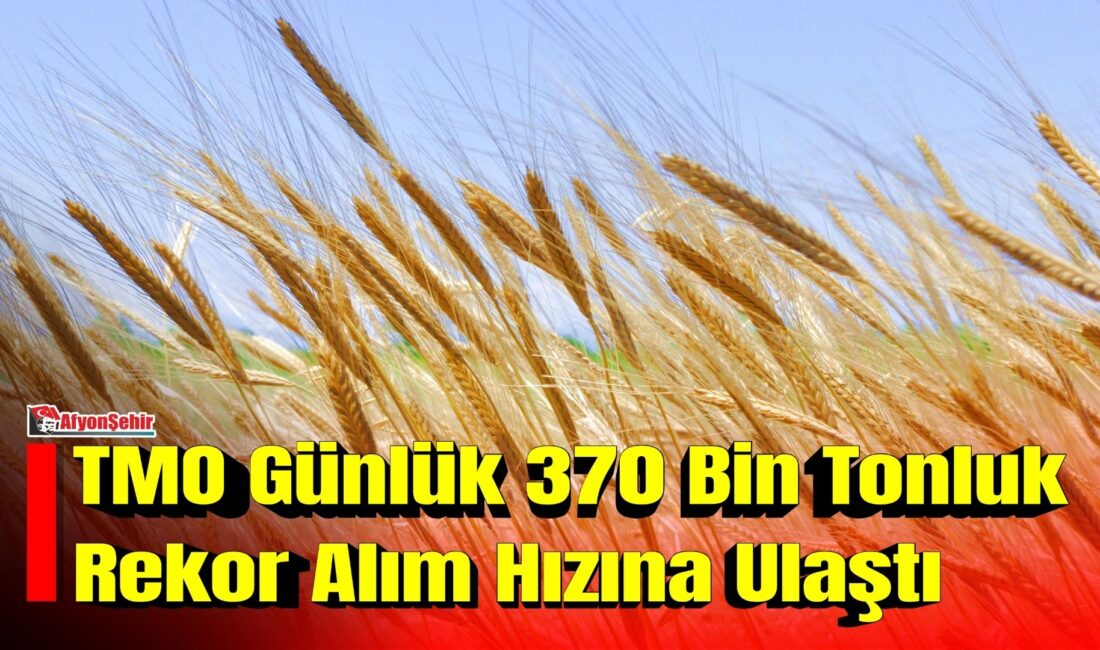 Tarım ve Orman Bakanı İbrahim Yumaklı, Toprak Mahsulleri Ofisi (TMO)