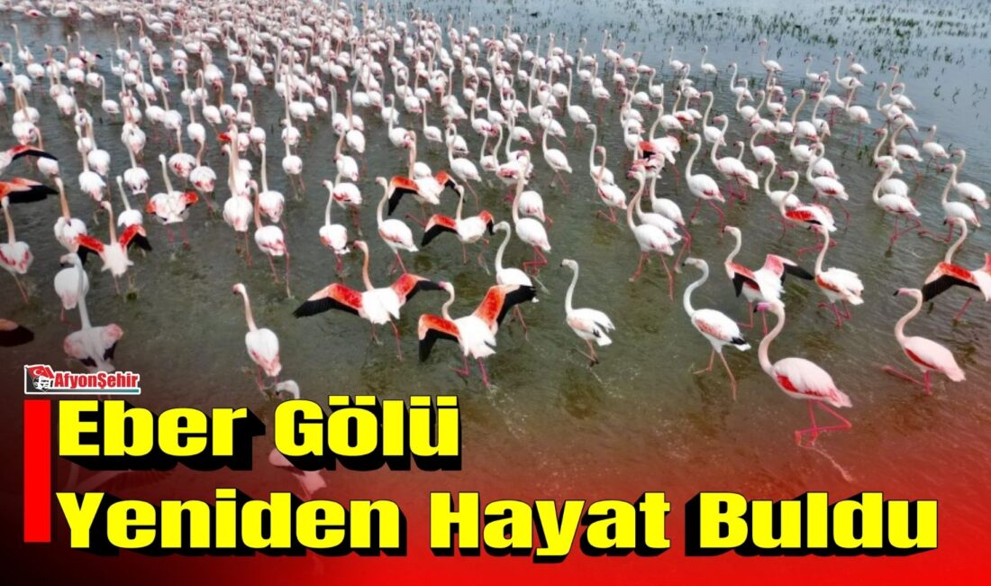 Kuraklık ve kirlilik nedeniyle yok olma tehlikesi yaşayan Eber Gölü,