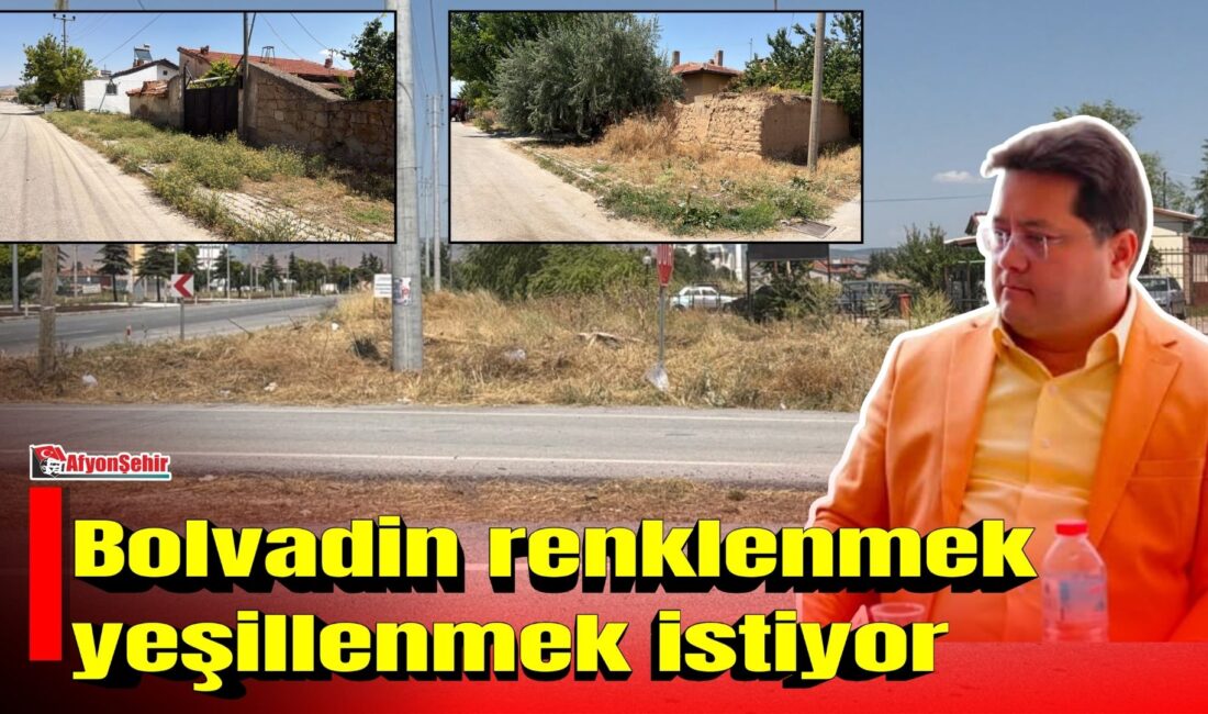 Yaz aylarının etkisini artırmasıyla birlikte parklar, orta refüjler ve kaldırım