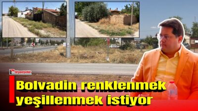 Yaz aylarının etkisini artırmasıyla birlikte parklar, orta refüjler ve kaldırım