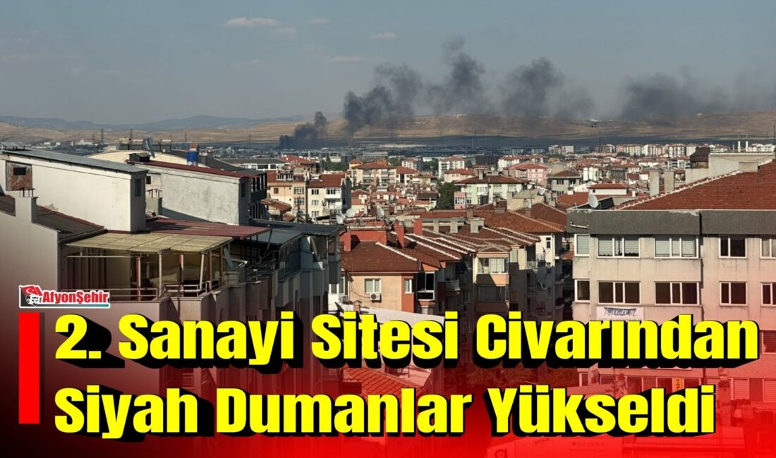 Afyonkarahisar'da 2. Sanayi Sitesi arkasında çıkan yangın kısa süreli paniğe