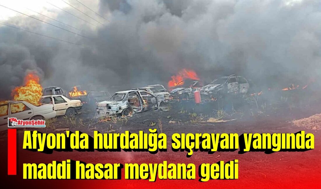 Afyonkarahisar’da otluk alanda çıkan yangının hurda araçların bulunduğu yere sıçraması