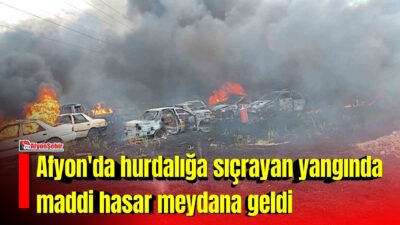 Afyonkarahisar’da otluk alanda çıkan yangının hurda araçların bulunduğu yere sıçraması