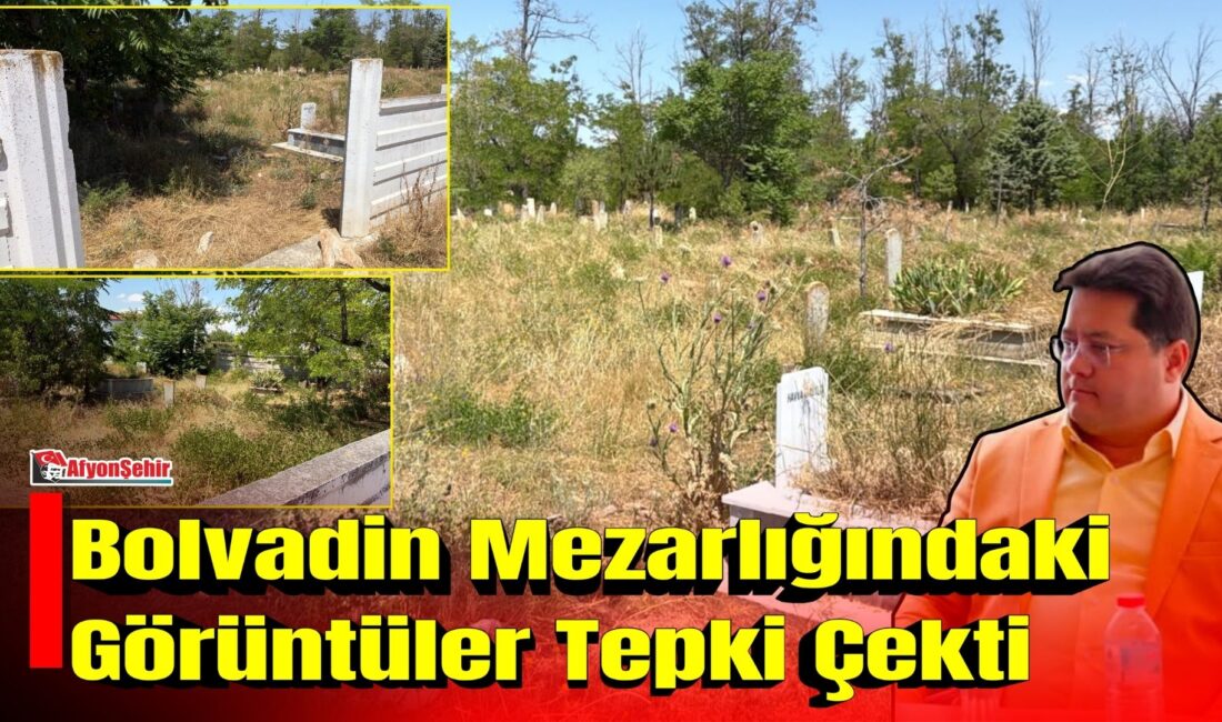 Bolvadin'de şehitlik karşısında bulunan mezarlıklardaki yabani otların oluşturduğu görüntü, bazı