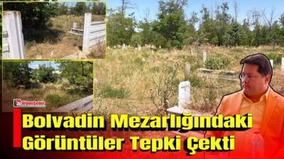 Bolvadin'de şehitlik karşısında bulunan mezarlıklardaki yabani otların oluşturduğu görüntü, bazı