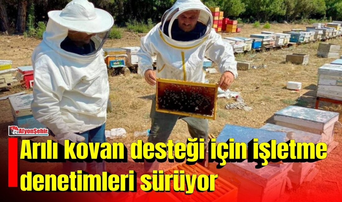 Arılı kovan desteği çerçevesinde yürütülen tespit ve güncelleme çalışmaları Afyon