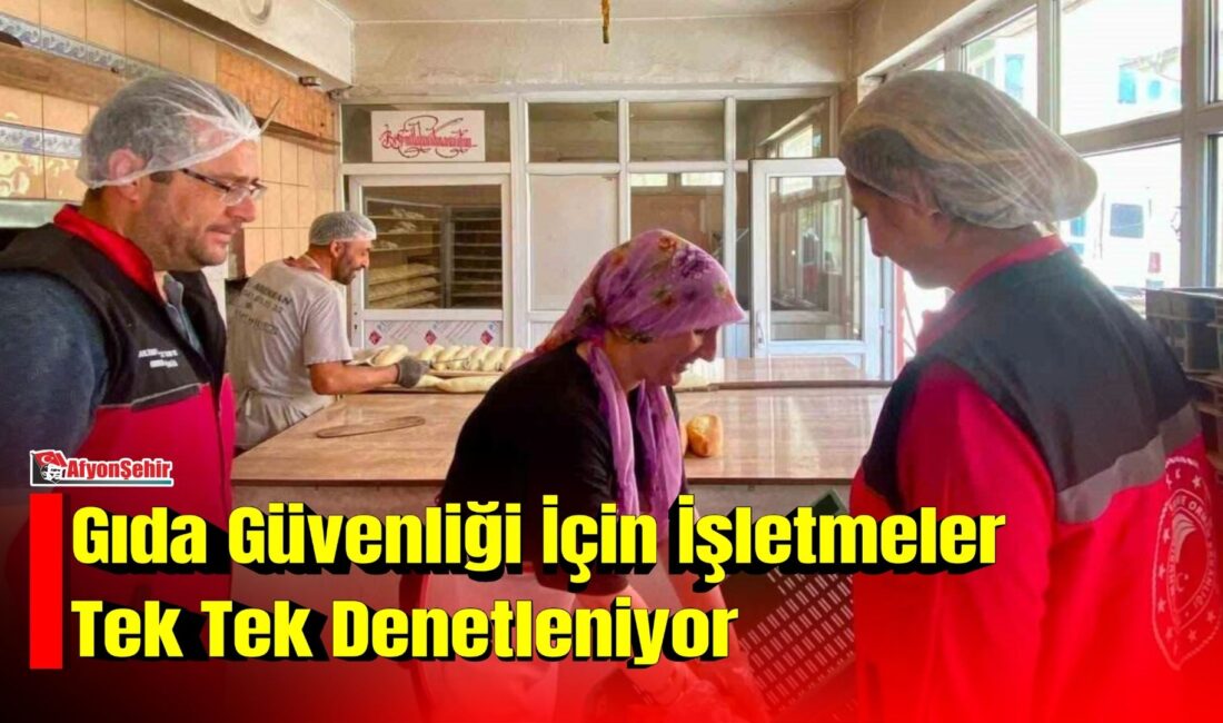 Gıda işletmelerine yönelik denetim Afyonkarahisar’da vatandaşların güvenilir gıdaya erişiminin sağlanması, halk sağlığının korunması ve