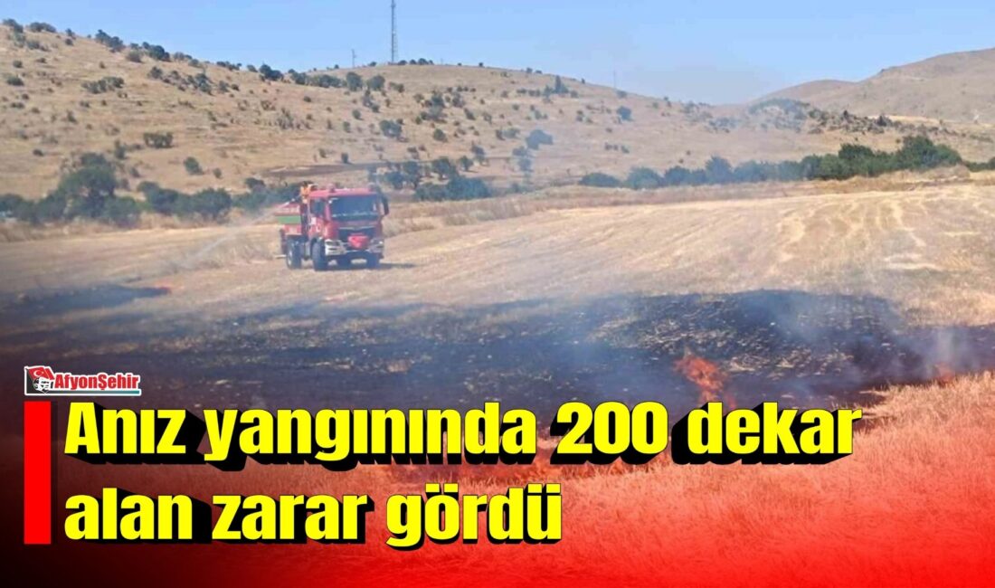 Afyonkarahisar’ın Sandıklı ilçesinde yaşanan anız yangınında yaklaşık 200 dekarlık alan