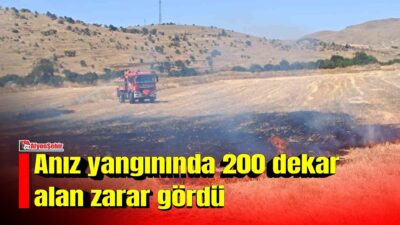 Afyonkarahisar’ın Sandıklı ilçesinde yaşanan anız yangınında yaklaşık 200 dekarlık alan