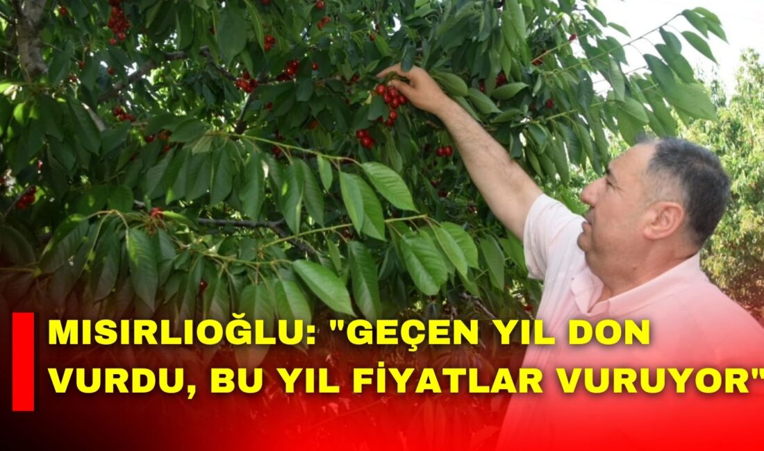 İYİ Parti Afyonkarahisar İl Başkanı Muhammet Mısırlıoğlu, Sultandağı ve Dereçine'de