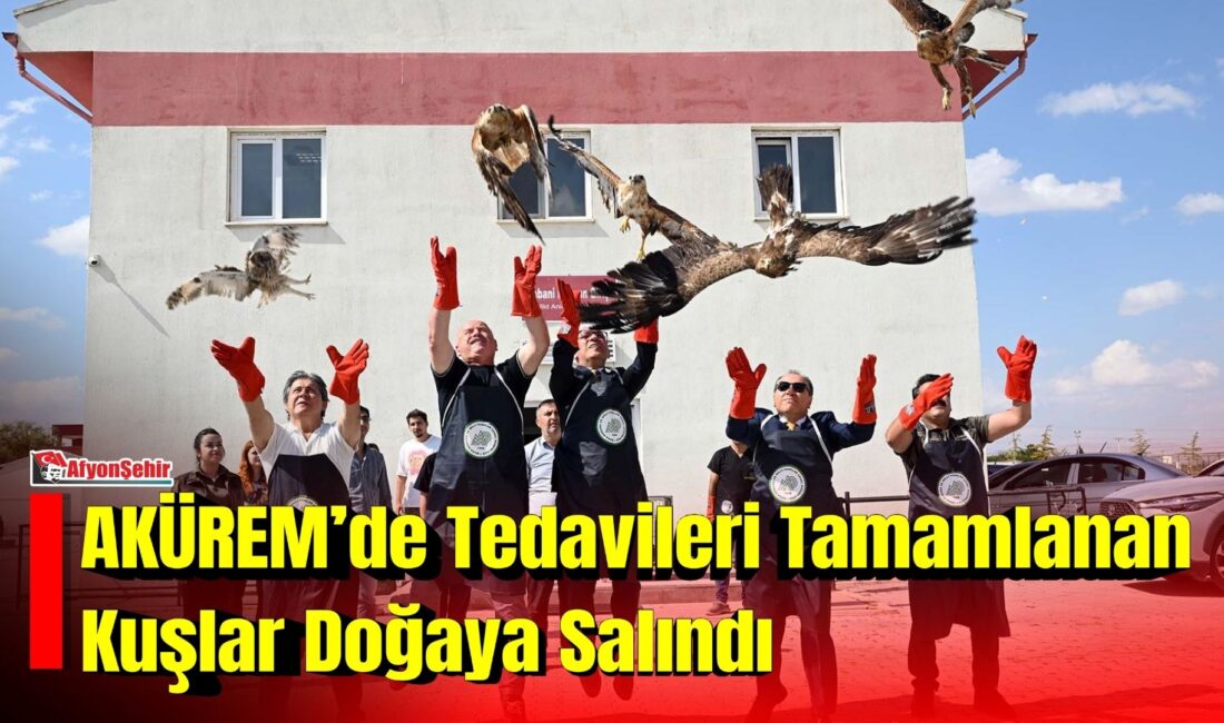 Afyon Kocatepe Üniversitesi (AKÜ) Yaban Hayatı Kurtarma, Rehabilitasyon, Eğitim, Uygulama