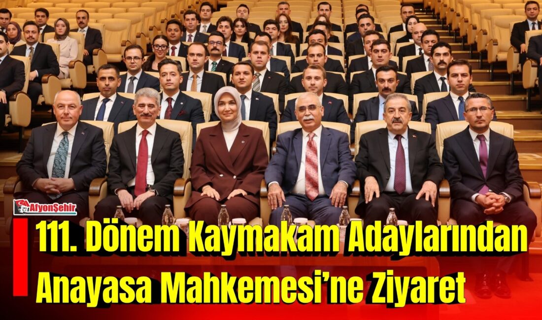 İçişleri Bakan Yardımcısı Doç. Dr. Kübra Güran Yiğitbaşı, 111. Dönem