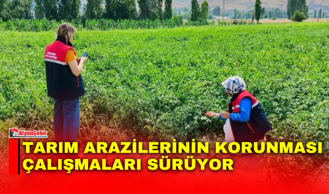 Afyonkarahisar İl Tarım ve Orman Müdürlüğü ekipleri, tarım arazilerinin korunması