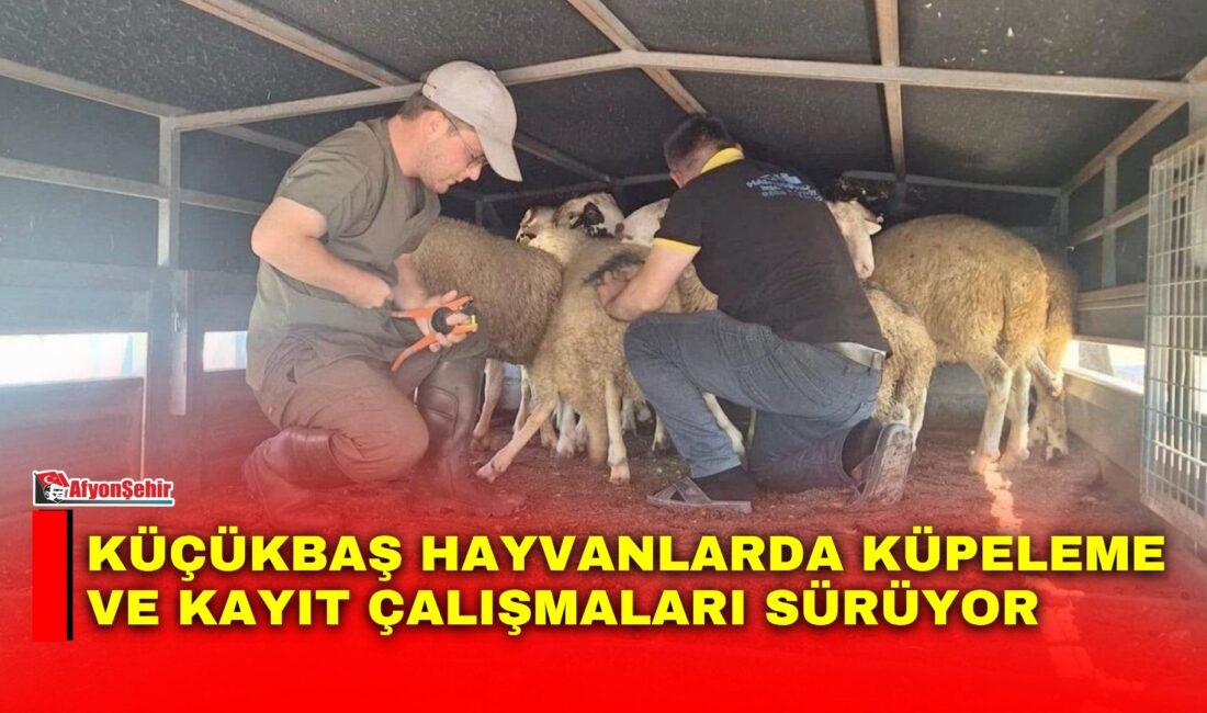 Afyonkarahisar İl Tarım ve Orman Müdürlüğü tarafından hayvan sağlığının korunması,