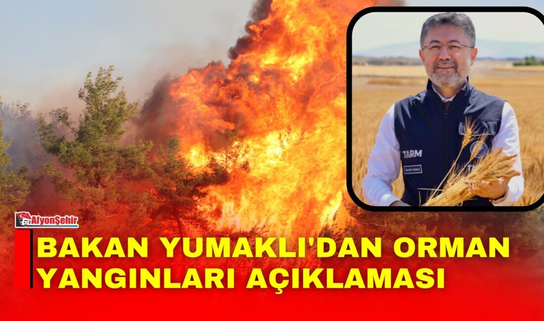 Bakan Yumaklı’dan orman yangınları açıklaması: Seydikemer’de yangın kontrol altında, iki ilde mücadele sürüyor Tarım ve Orman Bakanı İbrahim Yumaklı, Türkiye'nin farklı noktalarında devam