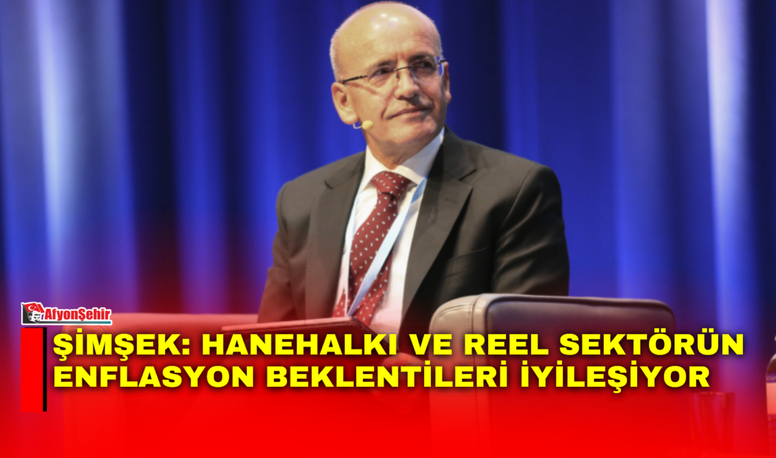 Hazine ve Maliye Bakanı Mehmet Şimşek, hanehalkı ve reel sektörün