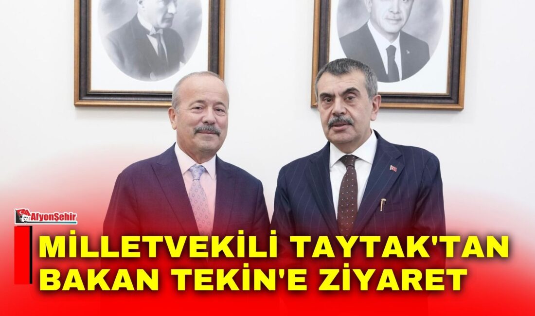 MHP Afyonkarahisar Milletvekili Mehmet Taytak, Türkiye Büyük Millet Meclisi'nde (TBMM)