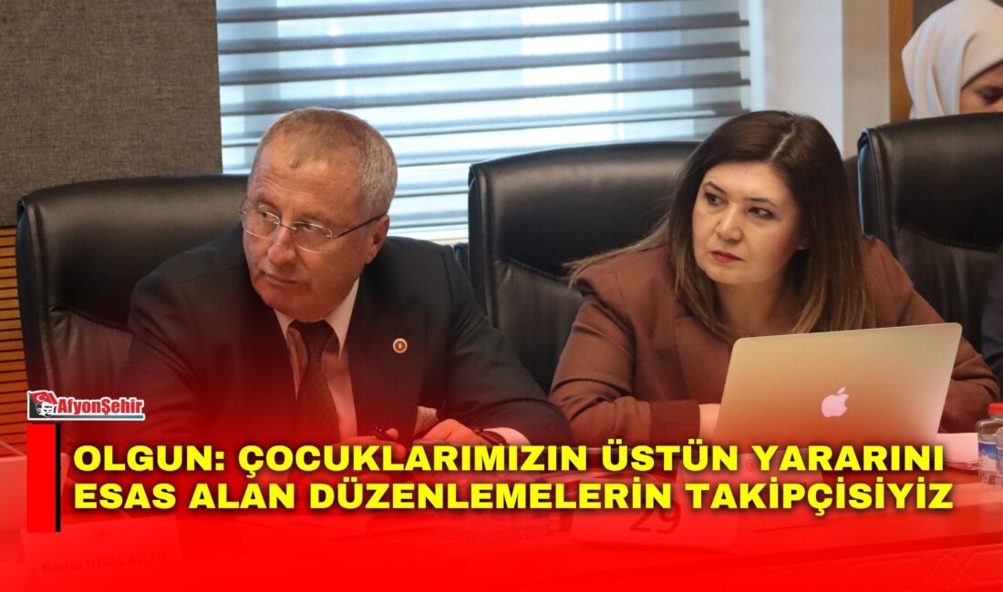 İYİ Parti Genel Başkan Yardımcısı ve Afyonkarahisar Milletvekili Hakan Şeref