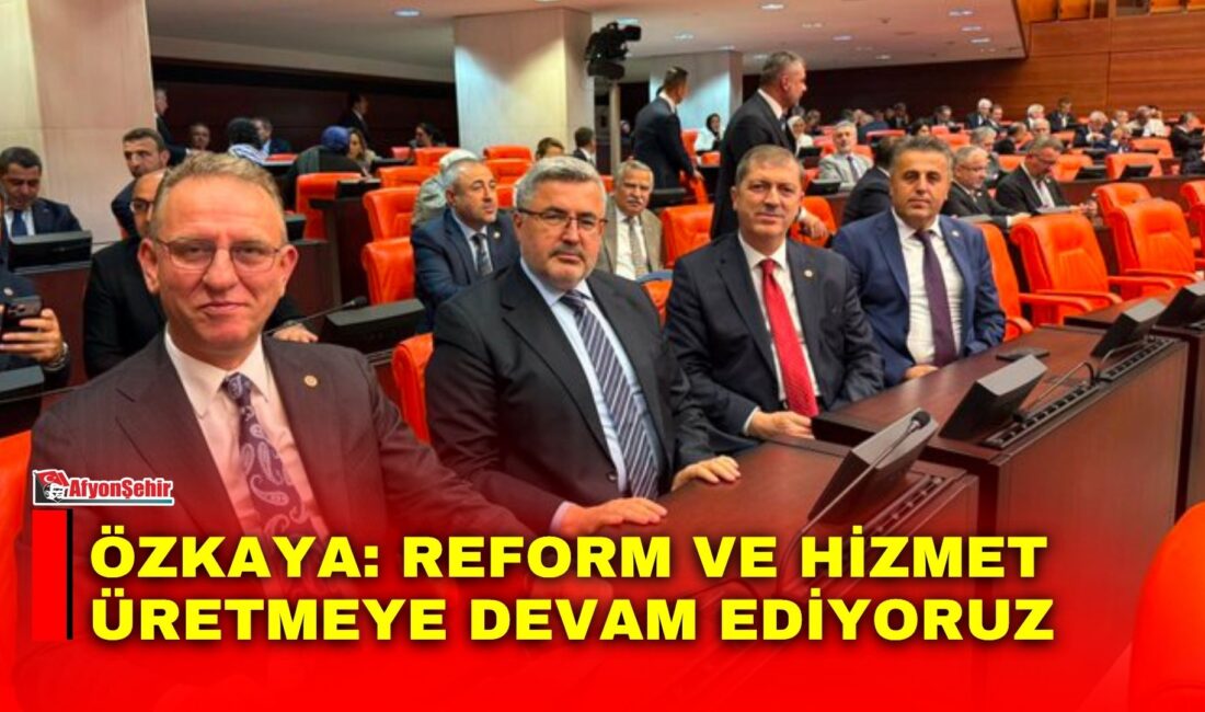 AK Parti Afyon Milletvekili Ali Özkaya, TBMM’deki yasama çalışmlarıyla ilgili