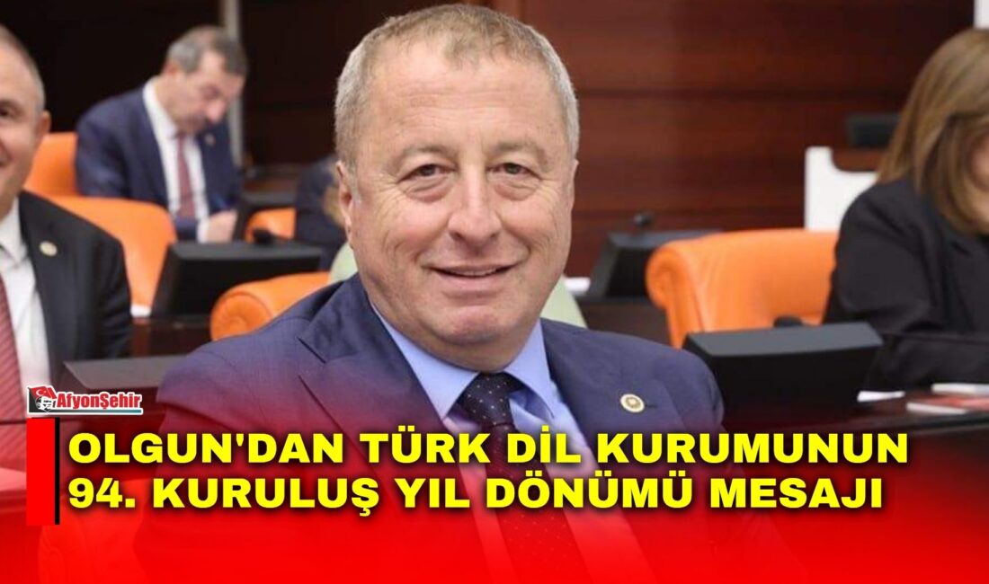 İYİ Parti Genel Başkan Yardımcısı ve Afyonkarahisar Milletvekili Hakan Şeref