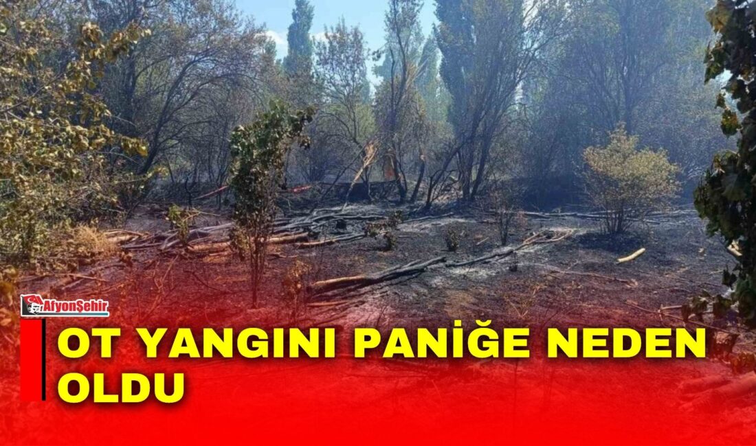 Afyonkarahisar’ın Sandıklı ilçesinde çıkan ot yangını, yerleşim yerlerine yakın olması