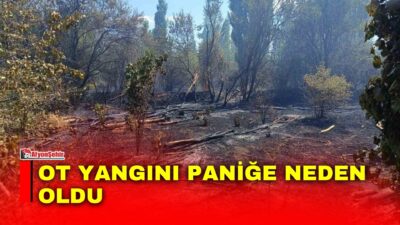 Afyonkarahisar’ın Sandıklı ilçesinde çıkan ot yangını, yerleşim yerlerine yakın olması