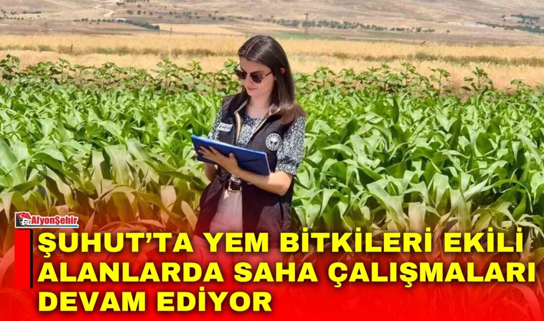 Afyonkarahisar’ın Şuhut ilçesinde, yem bitkileri üretiminin sürdürülebilirliğinin desteklenmesi, tarımsal üretim